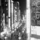 新宿御苑