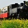 D5M_2038