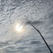 クレーンと空