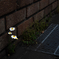 道端の輝き -  Roadside lights -