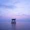 琵琶湖の朝焼け