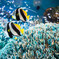 サンシャイン水族館にて