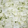 DD2358F6-093F-49B8-ACF6-F305340BC20A
