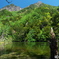 明神池と明神岳