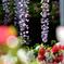 ADS_0042-00001 
