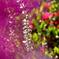 ADS_0019-00001 