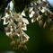 ADS_9986-00001 