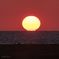 久しぶりの日本海の落陽