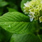 CB02B3A0-2C36-49FD-B271-1C463127C0D6