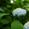 1C634A65-6DD3-4697-8D10-0F470DDCB4AE