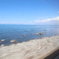 車窓からの海
