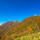 三瓶山紅葉