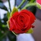 IMG_20190603_105710