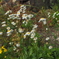 P6040141