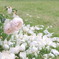 2019/5/29 京都植物園