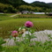 天野の里