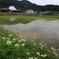 天野の里