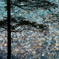 Blue glass river
