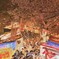 岡崎城 夜桜