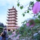 城と花