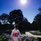 夕暮れの菖蒲園にて。。