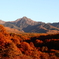 夕日を受けて