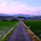 田