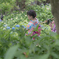 紫陽花に囲まれて