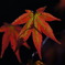 DSC00189