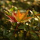 DSC00201