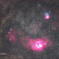 Summer Nebulae