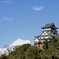 国宝 犬山城