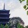 東寺