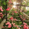 薔薇の塔