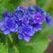 D5333AE8-535B-4819-8B02-0CA4FF14FBBF