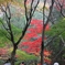 聖宝寺