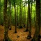 Breathing