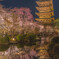 東寺の夜桜
