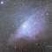 Blue Horsehead Nebula