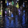 色づく水面