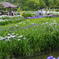 於　大阪城北公園。