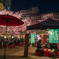 夜桜
