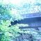 634D2E59-FBD4-4769-B7A6-E8BE23FDCEE8