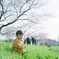 あの日の春
