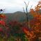 辰口スーパー林道の紅葉
