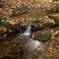 IMGP0068