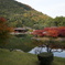 栗林公園の紅葉