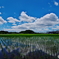 田園風景‐初夏