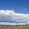 空