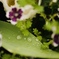 D9BE8B33-F1ED-4954-A171-569B0F29F8BC